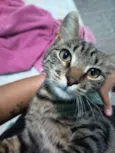 Théo