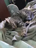 Théo