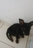 Doação