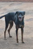 Não tem nome