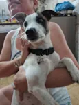 Billy