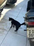 Não tem nome