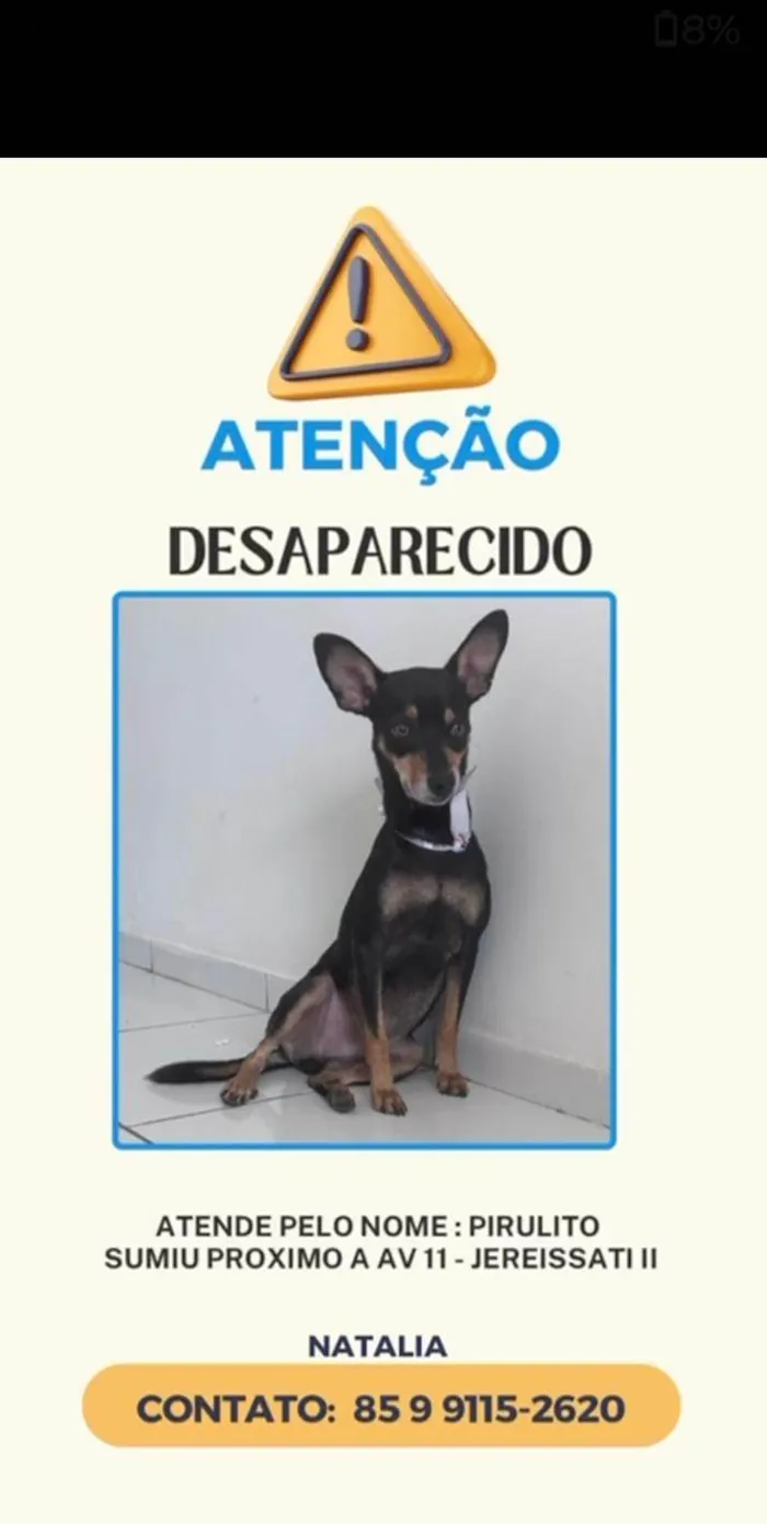 Cachorro ra a SRD-ViraLata idade 3 anos nome Pirulito 