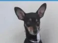 Pirulito