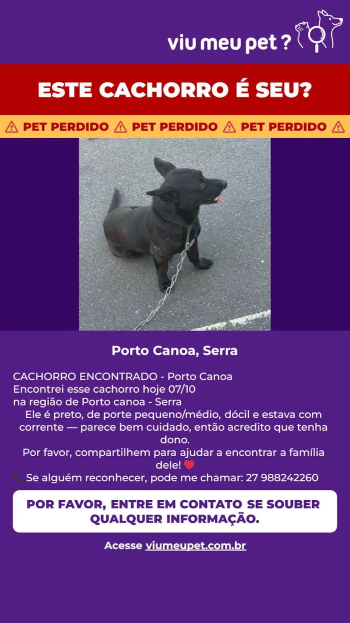 Cachorro ra a SRD-ViraLata idade 1 ano nome Não sei