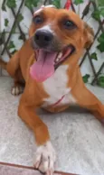 Kiara