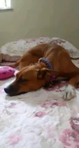 Kiara