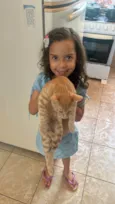 Luidy