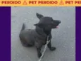 Não sei