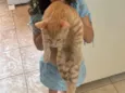 Luidy