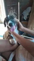 Zeus