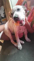 Zeus