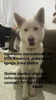 Não sei o nome