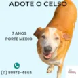 Celso