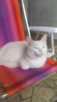 Nuvi
