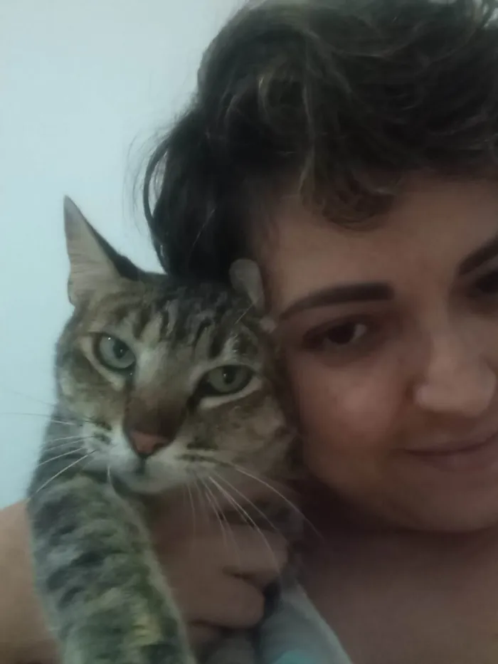 Gato ra a SRD-ViraLata idade 2 anos nome Gata rajada