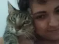 Gata rajada