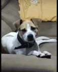 Billy