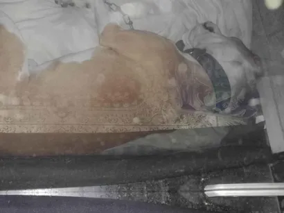 Cachorro raça SRD-ViraLata idade 2 anos nome Bob