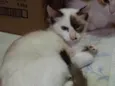 Marie