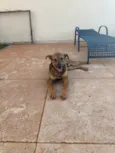 Tobias