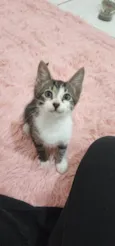 Julie