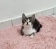 Julie