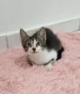 Julie
