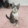 Julie
