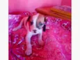 Flor ??