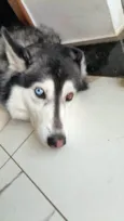 zayra