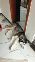 zayra