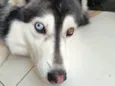 zayra