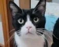 Tom