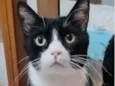 Tom