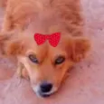 Mel