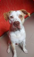 Lucky