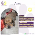 Alan