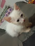 Alice/Arthur
