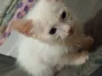 Alice/Arthur