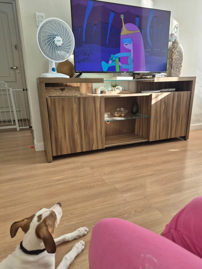 Cachorro ra a SRD-ViraLata idade 2 a 6 meses nome Theodoro