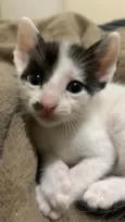 Charlie