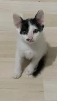 Charlie