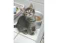 MANU