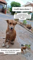 Caramela