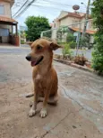 Caramela