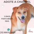 Channel