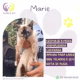 Marie