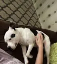 Kali