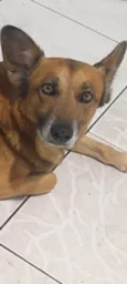 REX